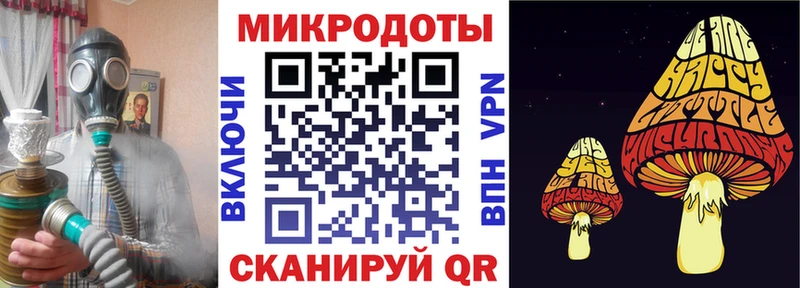 Галлюциногенные грибы Psilocybe  Нахабино 